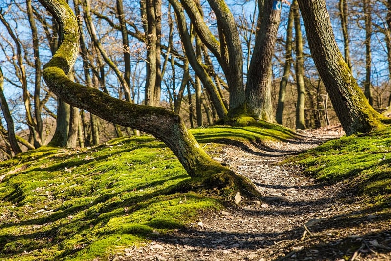Legendary Trails